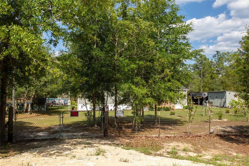 5670 Acadia Street Keystone Heights, FL 32656 - Photo 59 of 65 a view of a yard with a tree