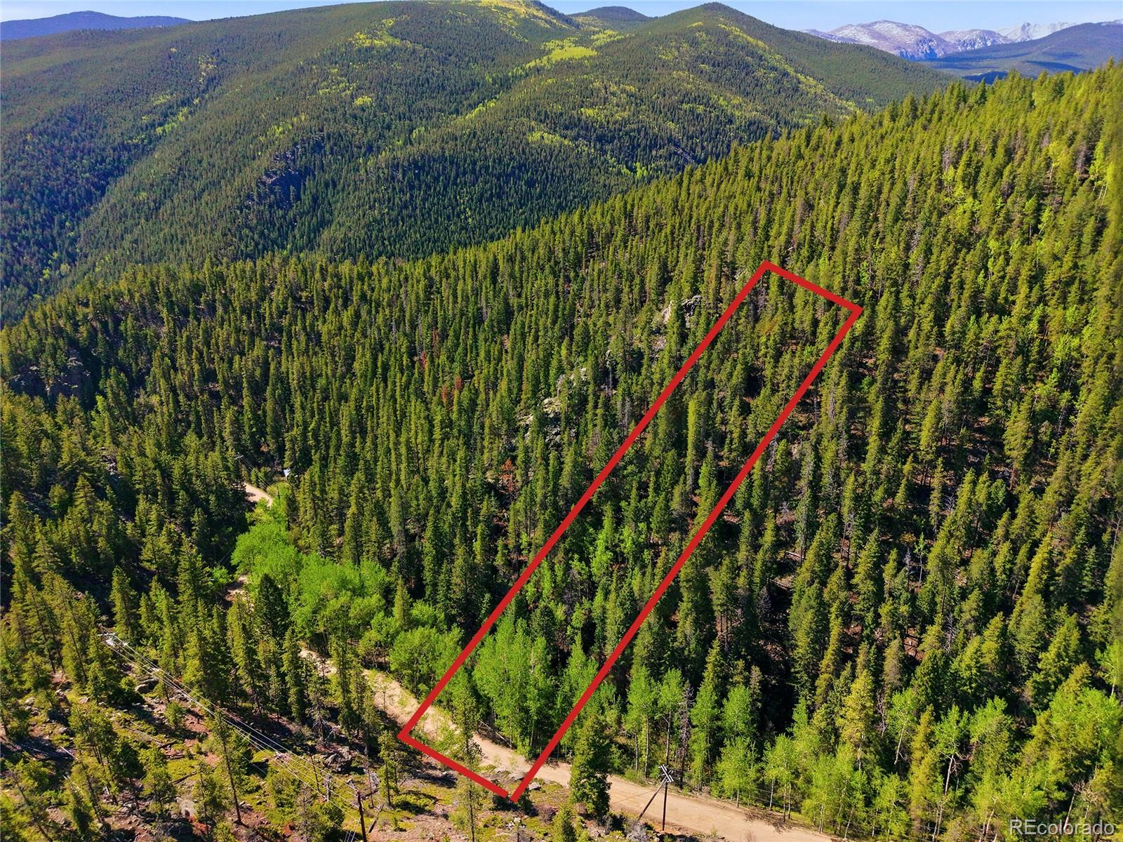 600 Ute Creek Road Idaho Springs, CO 80452 - Photo 5 of 24 a view of outdoor space and mountain view