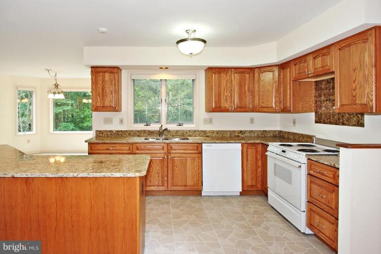 5221 Green Bridge Road Dayton, MD 21036 - Photo 15 of 30 Kitchen #2