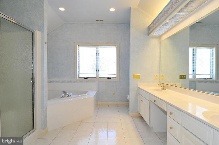 5221 Green Bridge Road Dayton, MD 21036 - Photo 8 of 30 Master Bath