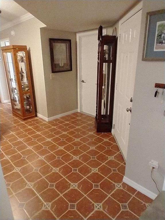 11541 Orleans Lane Port Richey, FL 34668 - Photo 12 of 24