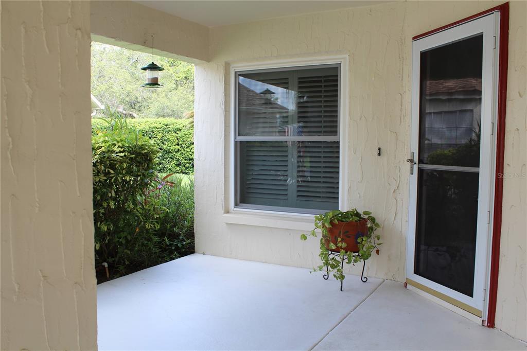 11541 Orleans Lane Port Richey, FL 34668 - Photo 4 of 24 a view of backyard with a potted plant