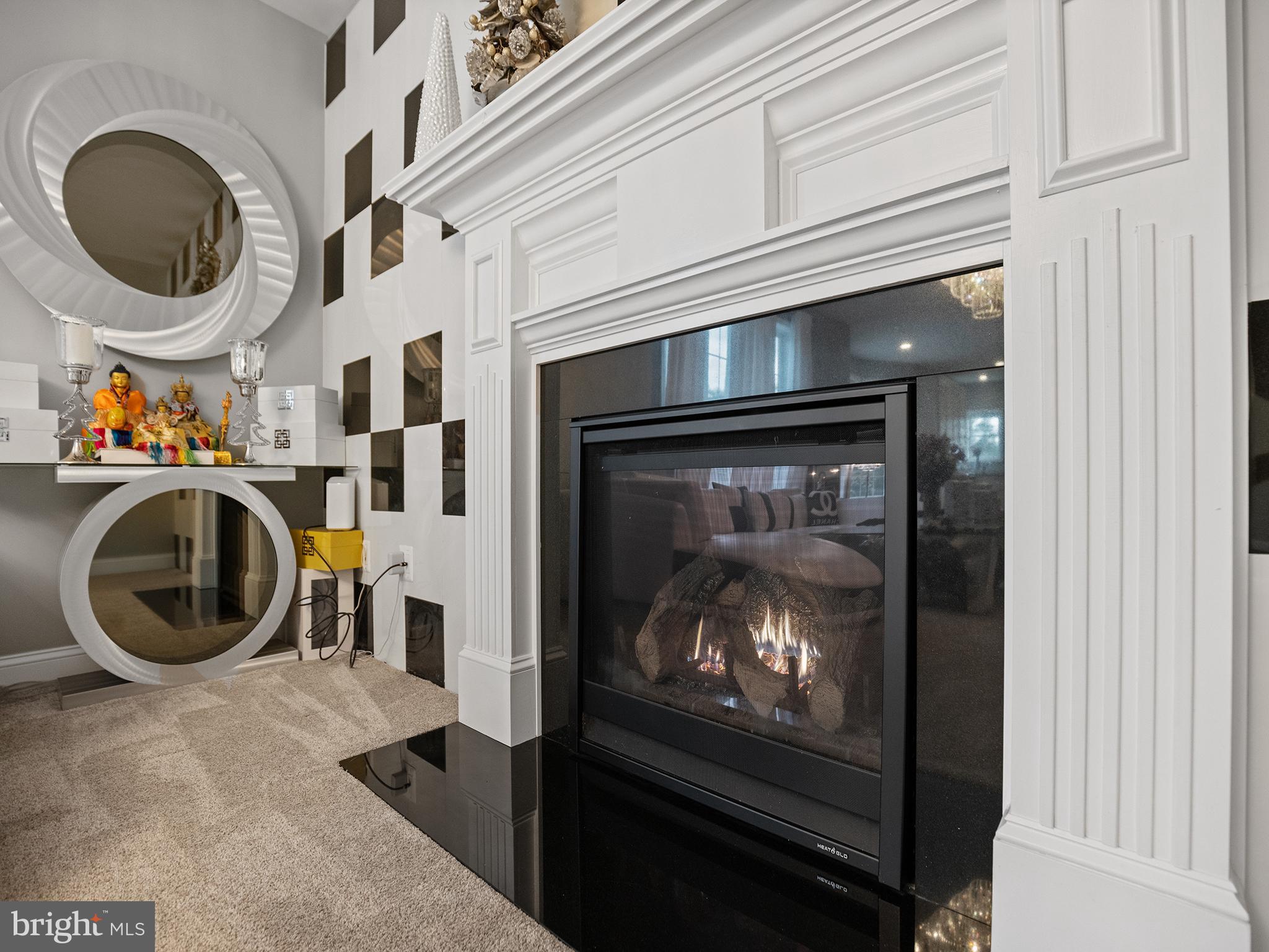 15935 Brackenburn Court Hughesville, MD 20637 - Photo 26 of 55 Fireplace Propane