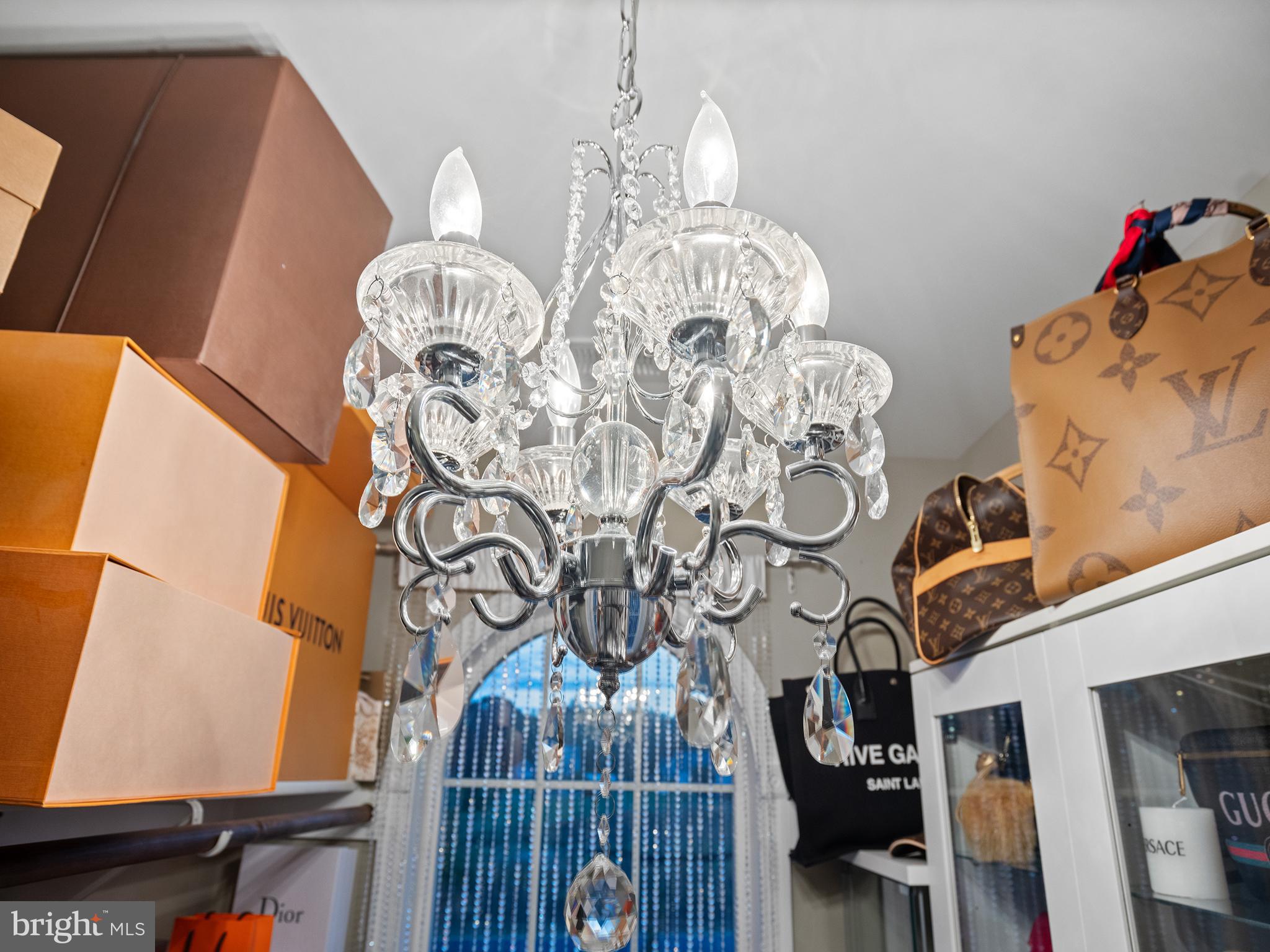 15935 Brackenburn Court Hughesville, MD 20637 - Photo 34 of 55 Primary En-Suite closet.