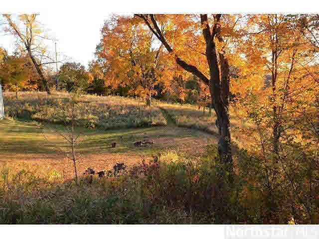 2455 Nelson Road Independence, MN 55328 - Photo 4 of 15