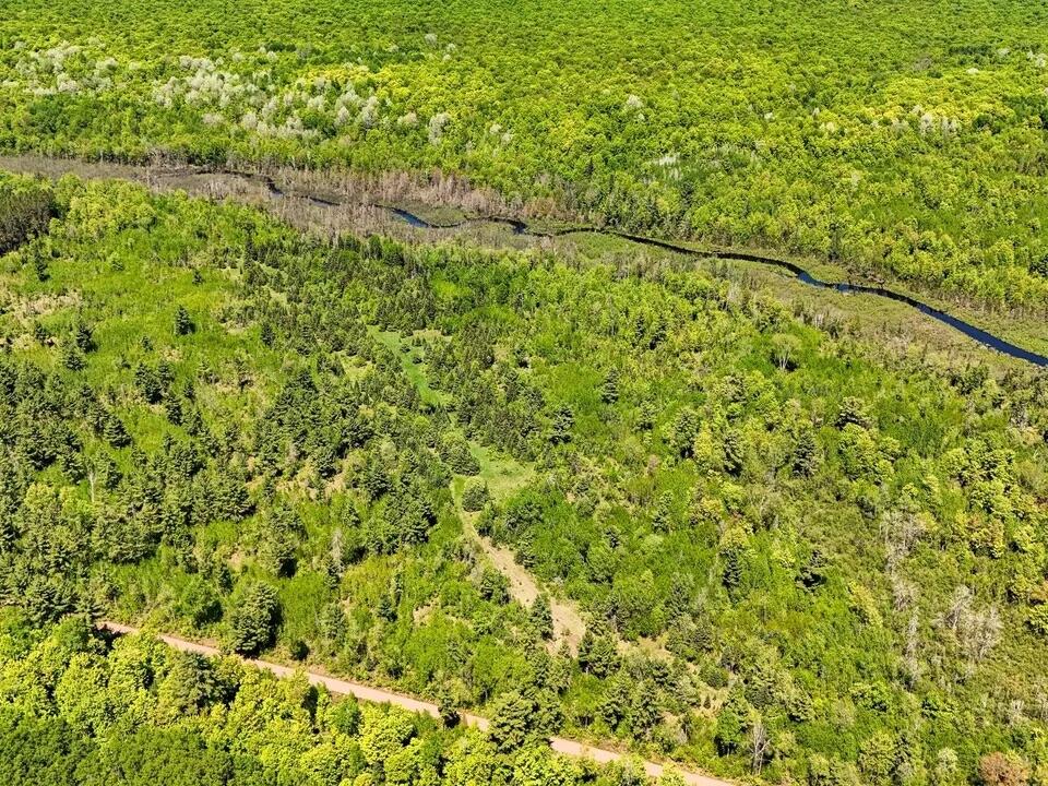 16 Federal Forest Highway Iron River, MI 49935 - Photo 8 of 12 9