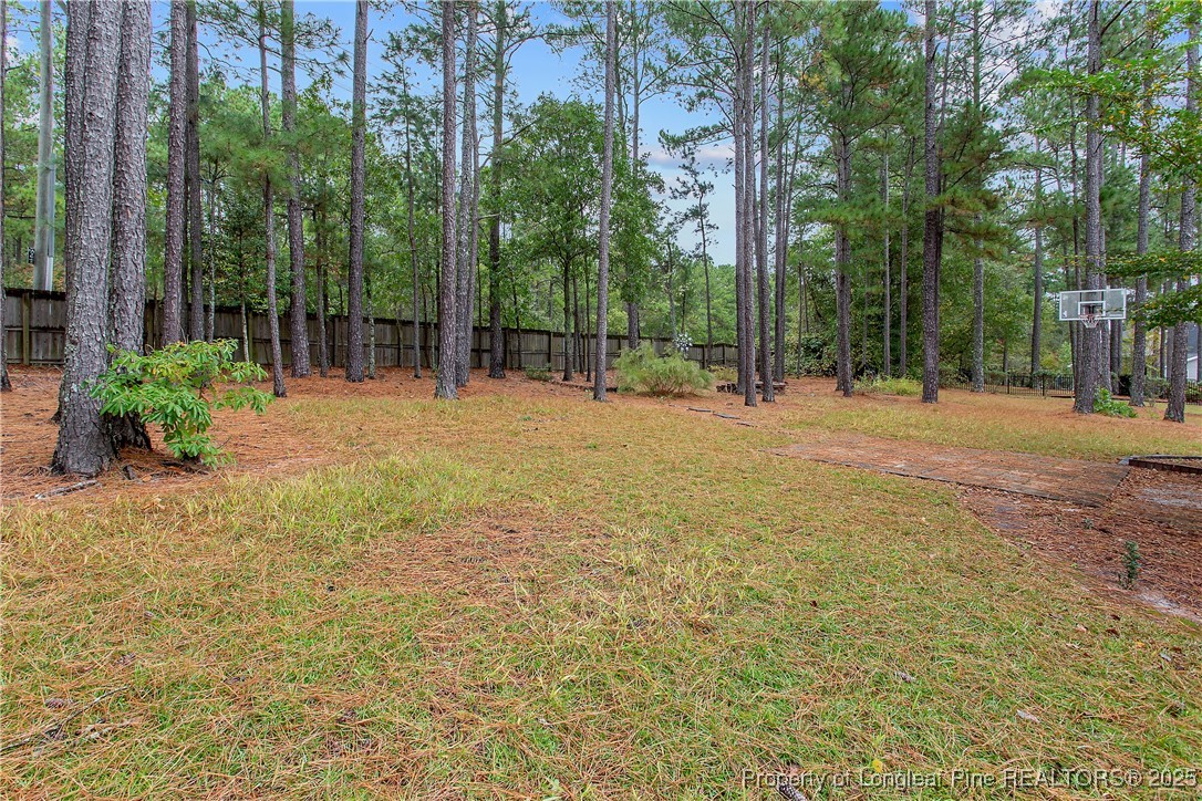 32 Overview Court Spring Lake, NC 28390 - Photo 49 of 49
