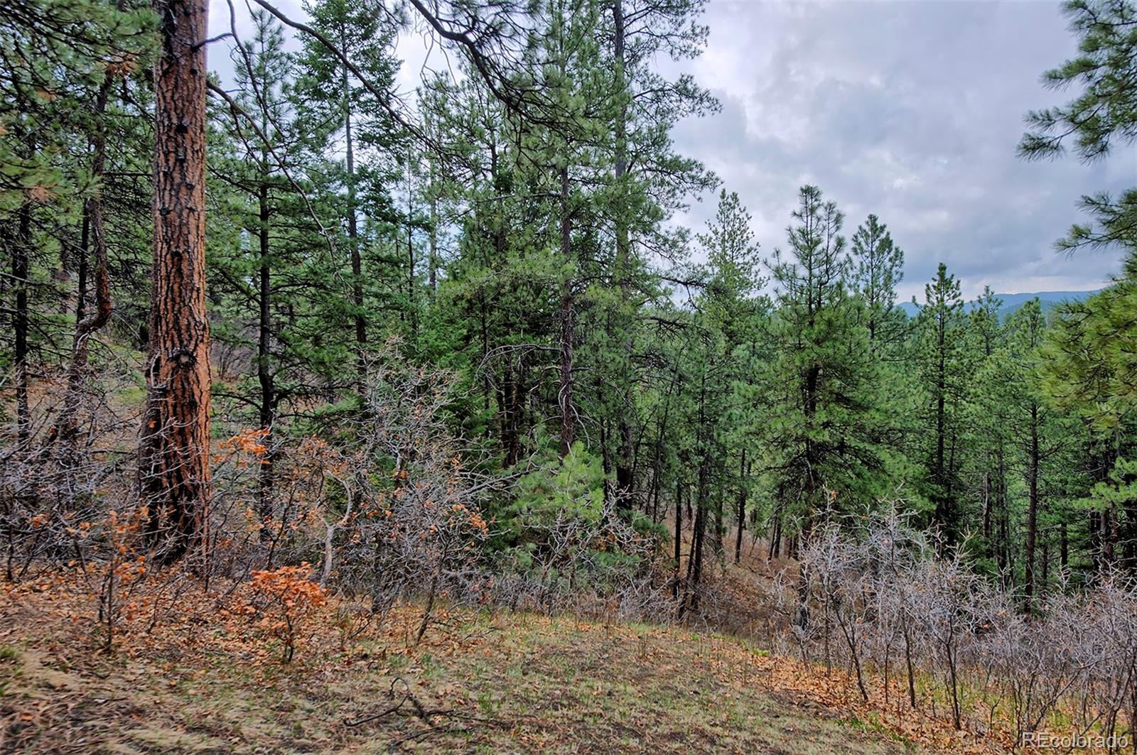 24 West Ranch Trail Morrison, CO 80465 - Photo 30 of 31 Gallery Image 30