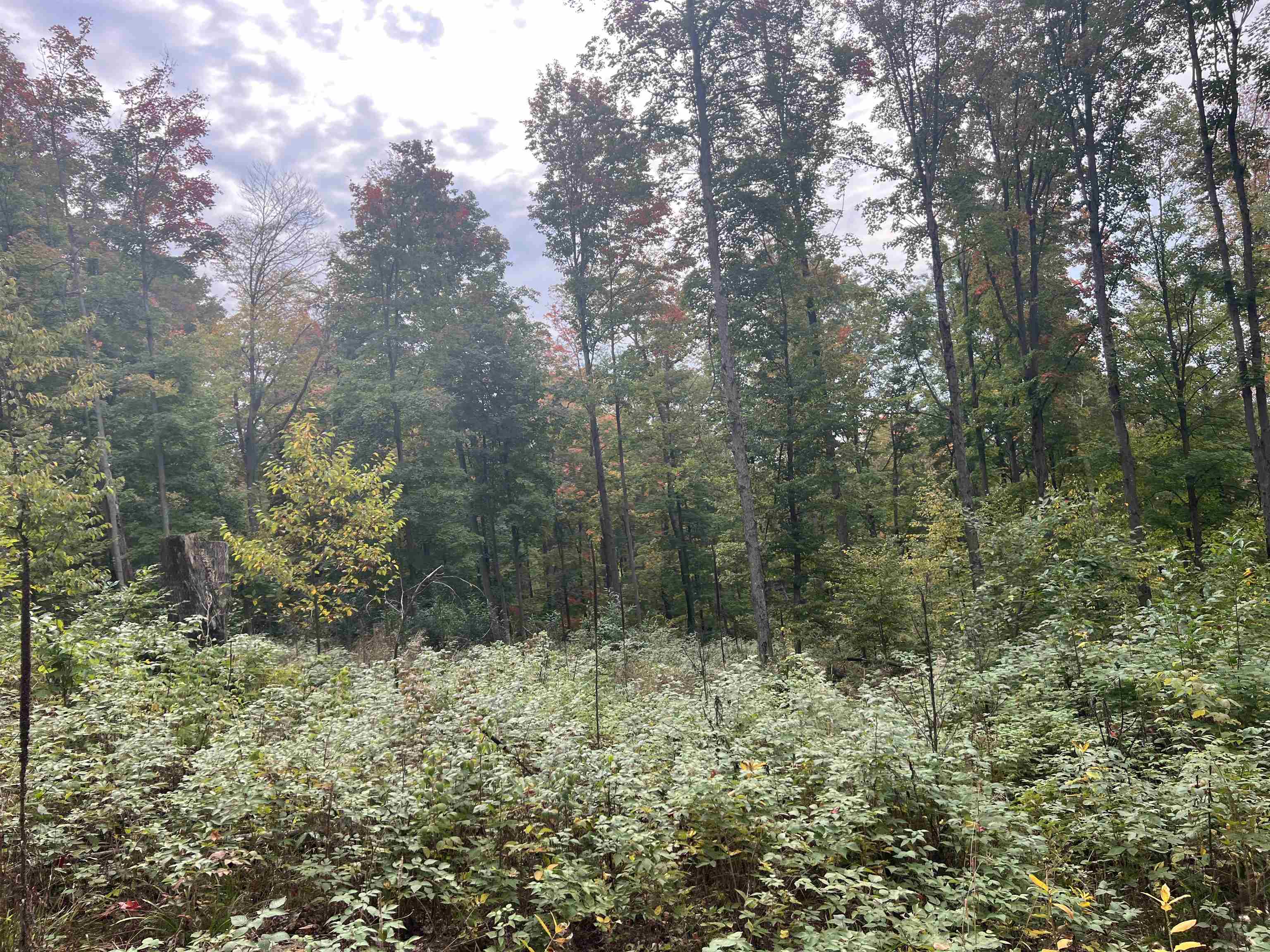 90 A Ridgeview Drive Kalkaska, MI 49646 - Photo 65 of 75