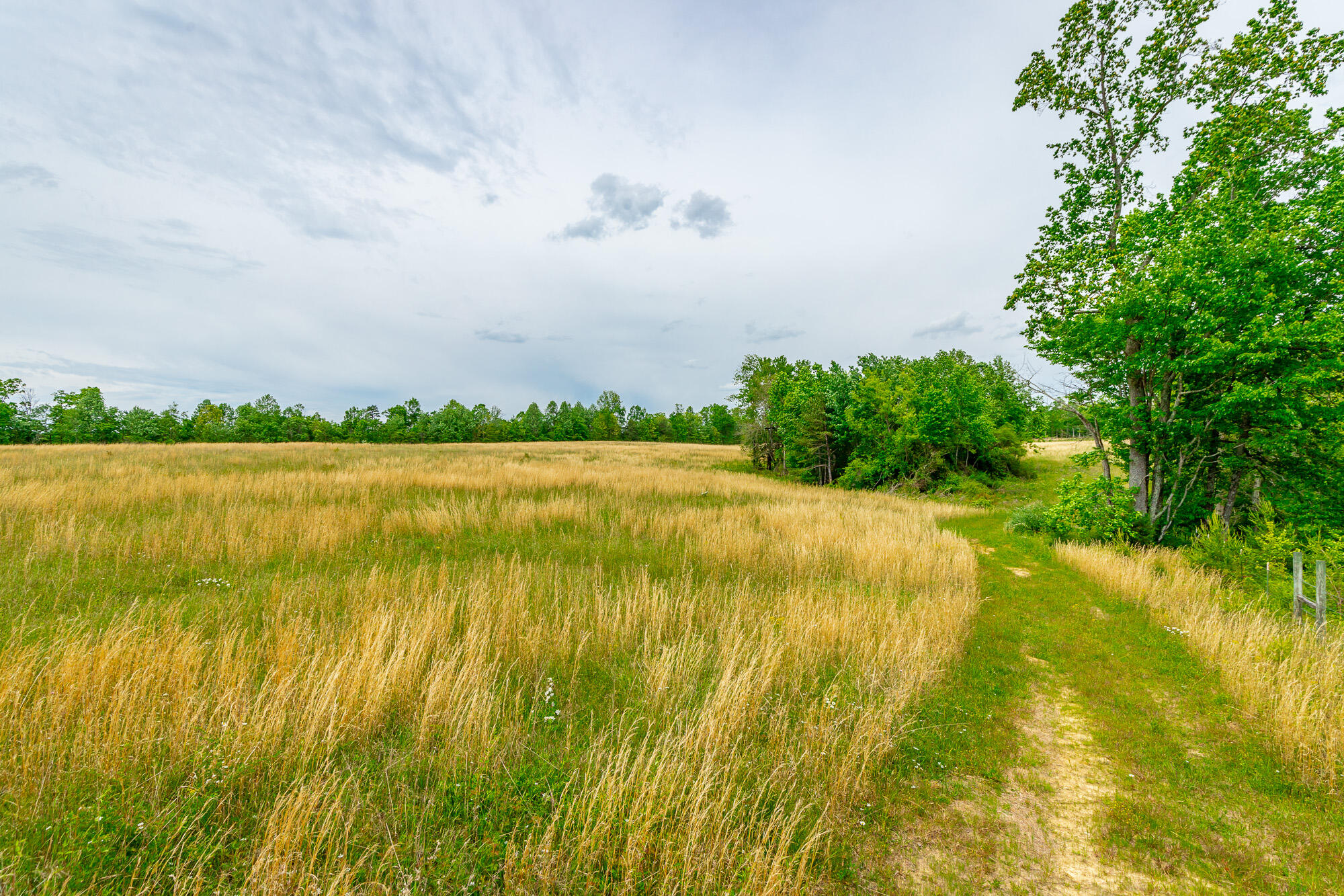 0 Ray Gadd Road Graysville, TN 37338 - Photo 48 of 109 Ray Gadd Road Lot HD-40