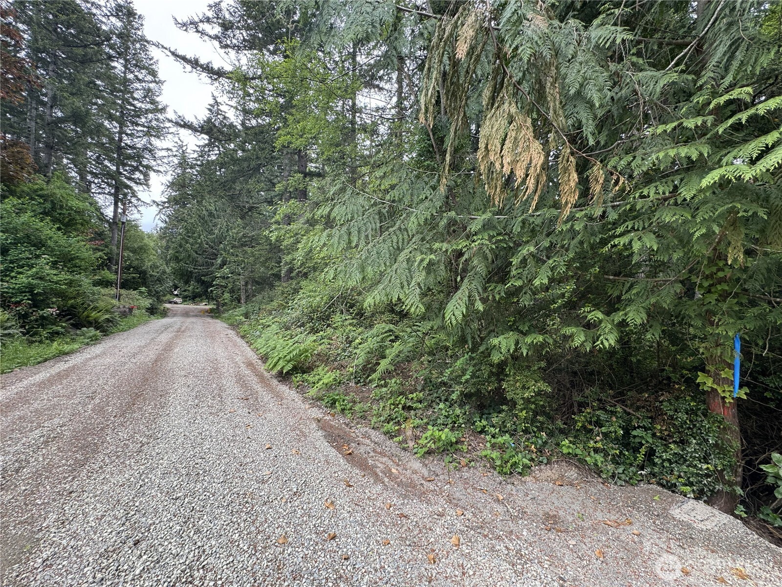 0 Moose Road Quilcene, WA 98376 - Photo 2 of 9