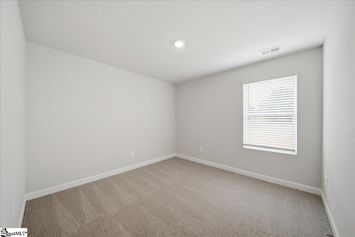103 Gibbon Way Gray Court, SC 29645 - Photo 20 of 48