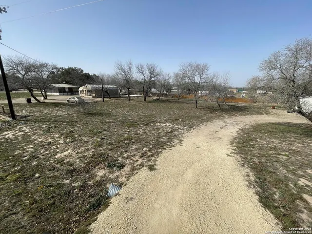 a view of dirt yard with a large tree