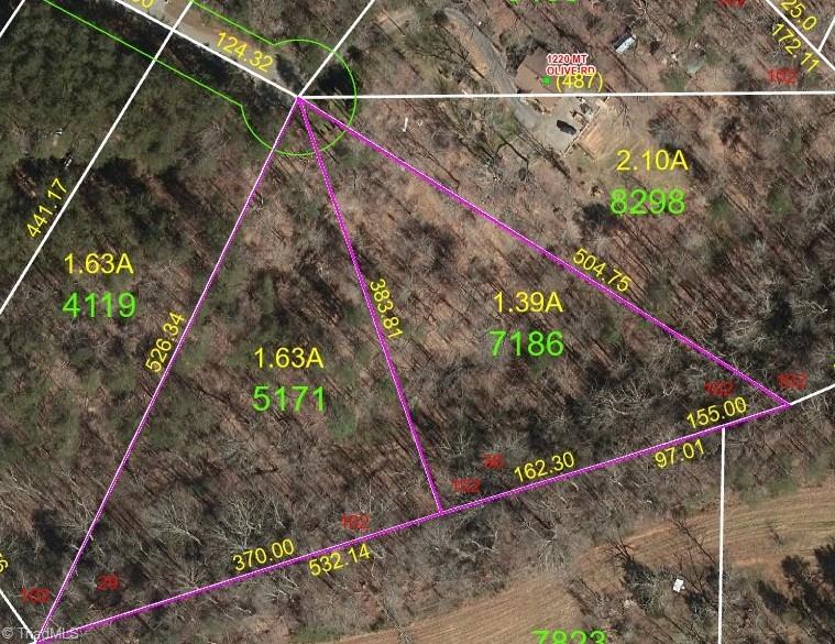 3.02 Mount Olive Road King, NC 27021 - Photo 1 of 1