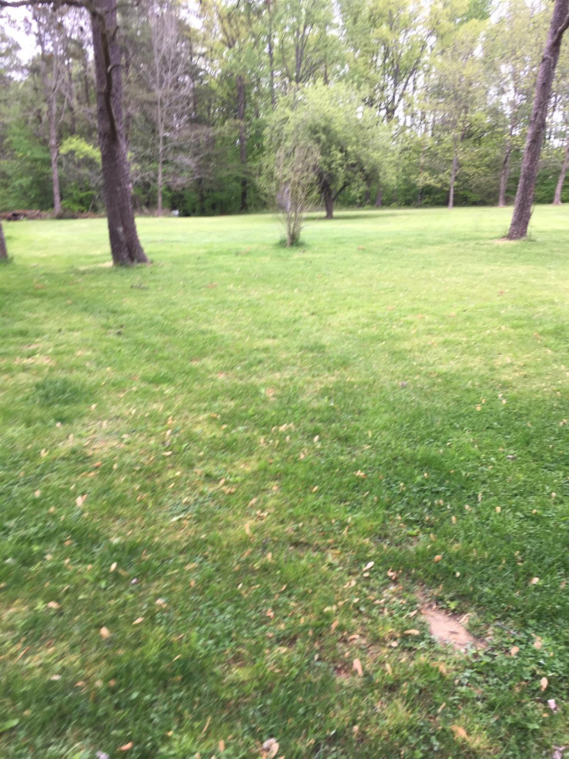 200 West Zikes Road Bloomington, IN 47403 - Photo 11 of 12 Gallery Image 11