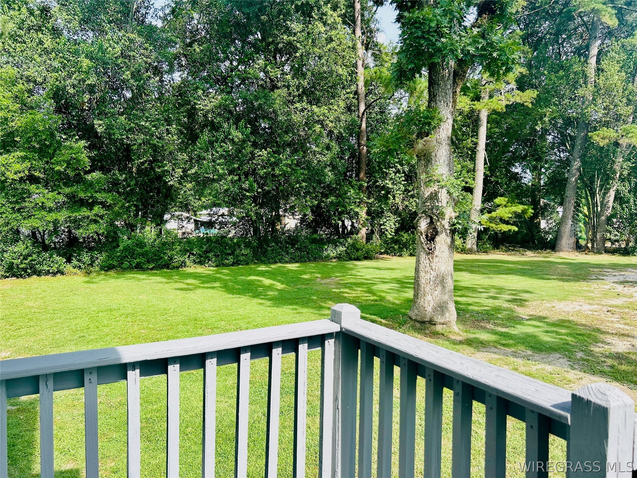 403 West Main Street Samson, AL 36477 - Photo 25 of 30 Overlooking part of the back yard
