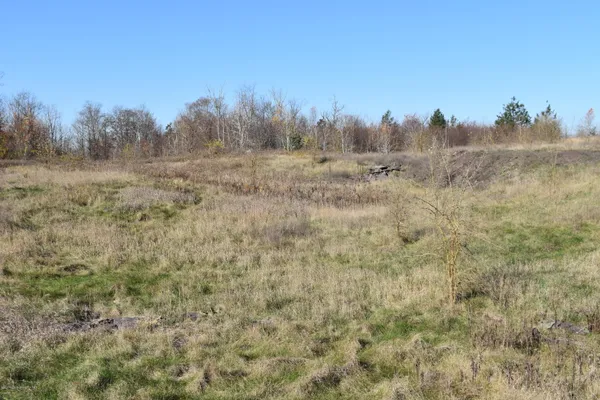 a view of a field with trees in the background