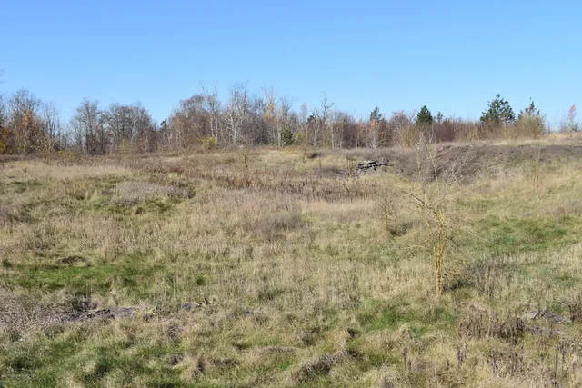 a view of a field with trees in the background