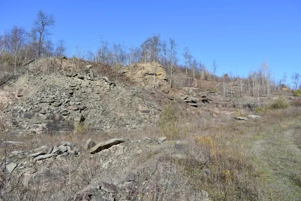 a view of a covered with trees in the background