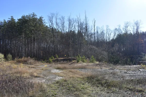 a backyard of a house