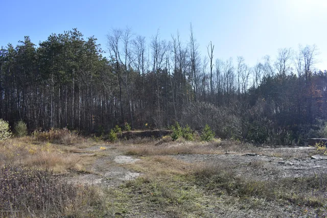 a backyard of a house