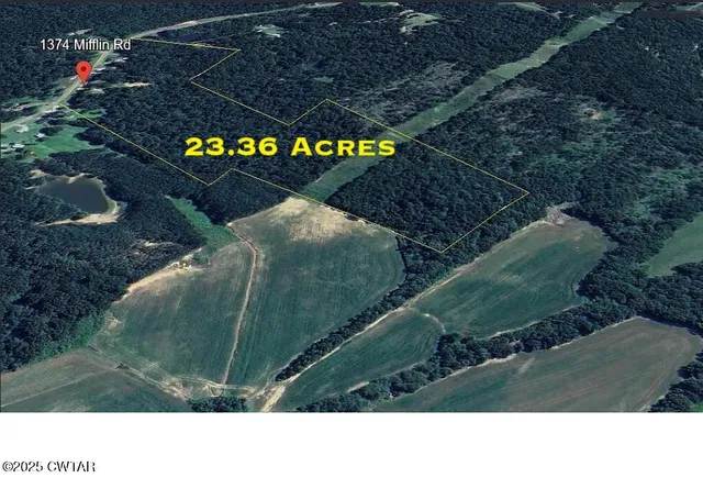 a backyard of house with trees