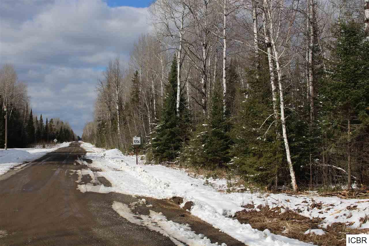 Tbd Traven Road Makinen, MN 55763 - Photo 1 of 1 Gallery Image 1