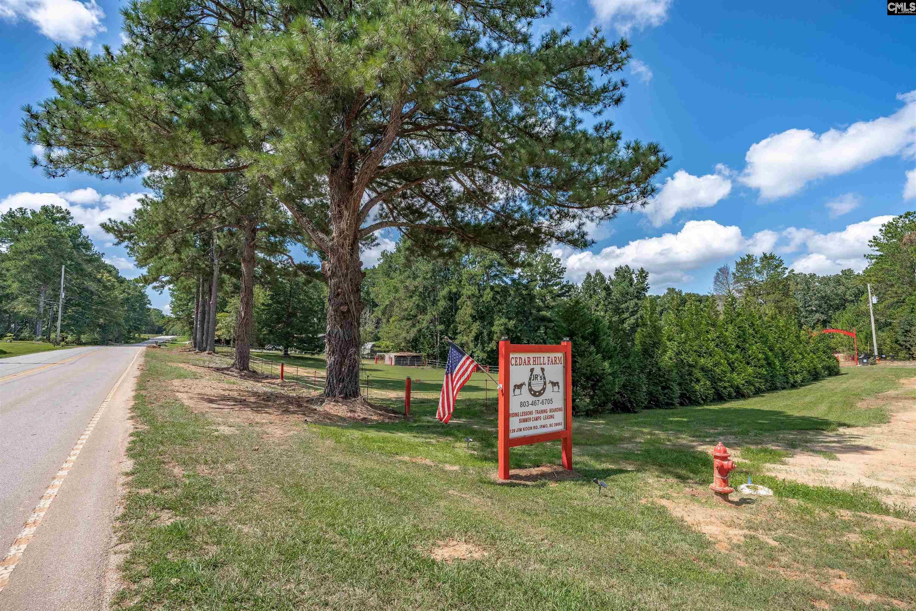 129 Jim Koon Road Irmo, SC 29063 - Photo 10 of 99 Gallery Image 10