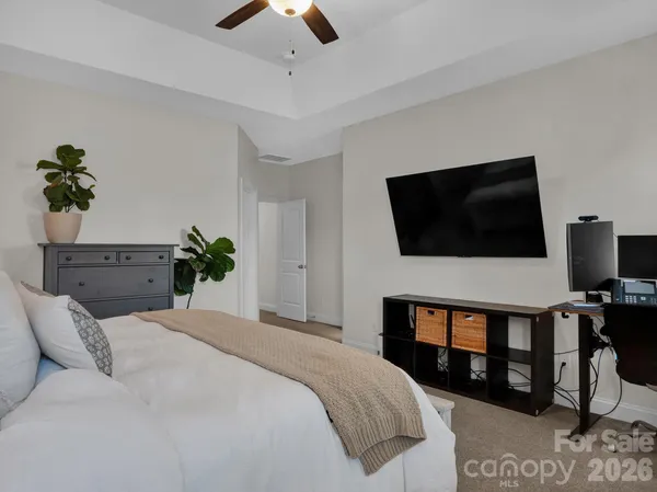 a bedroom with a bed a flat screen tv and a potted plant