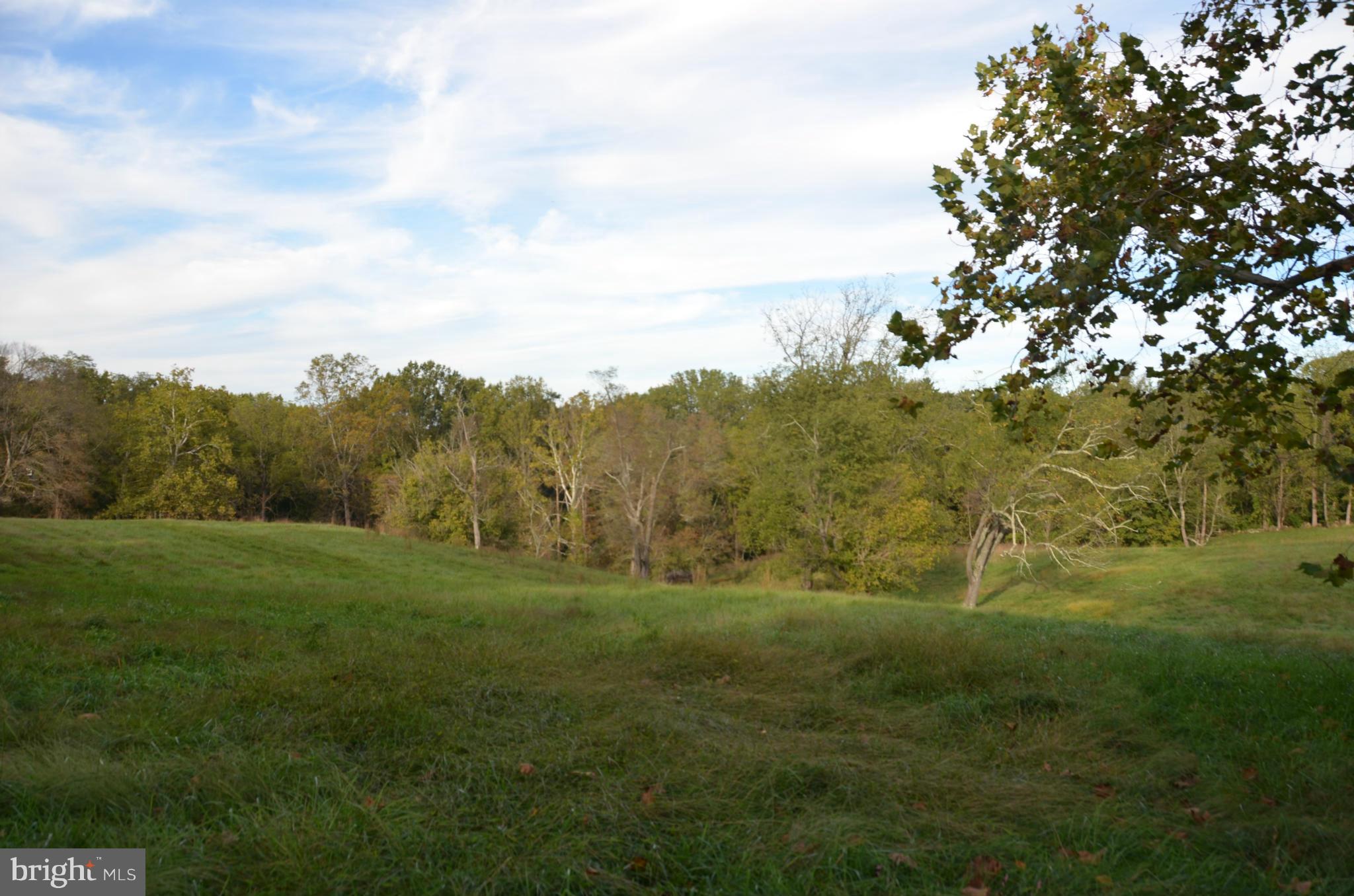 Whitetail Ridge Middleburg, VA 20117 - Photo 1 of 8 Exterior (General)