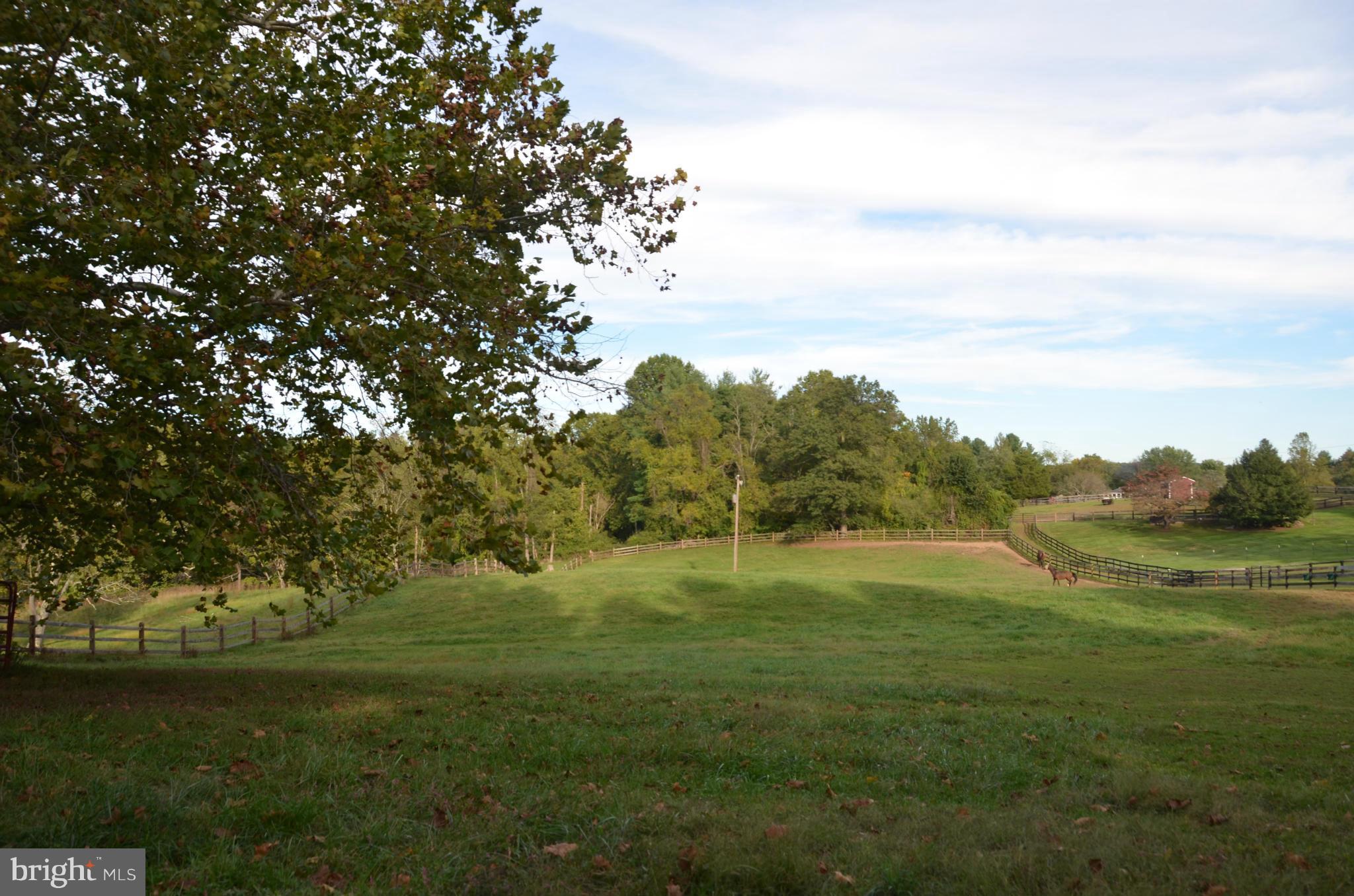 Whitetail Ridge Middleburg, VA 20117 - Photo 2 of 8 Exterior (General)