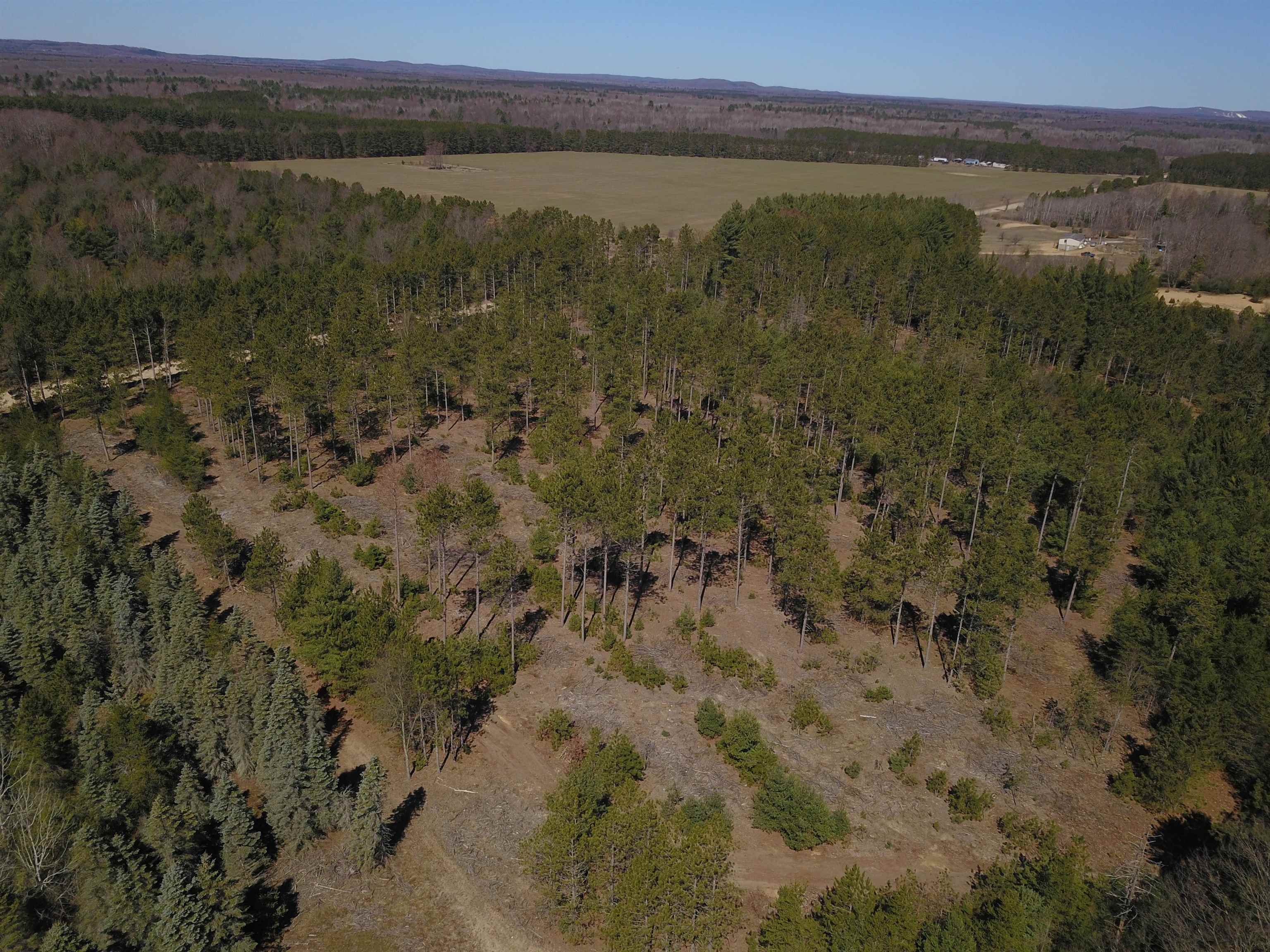 9.69-acres Niemi Road Kaleva, MI 49645 - Photo 21 of 30