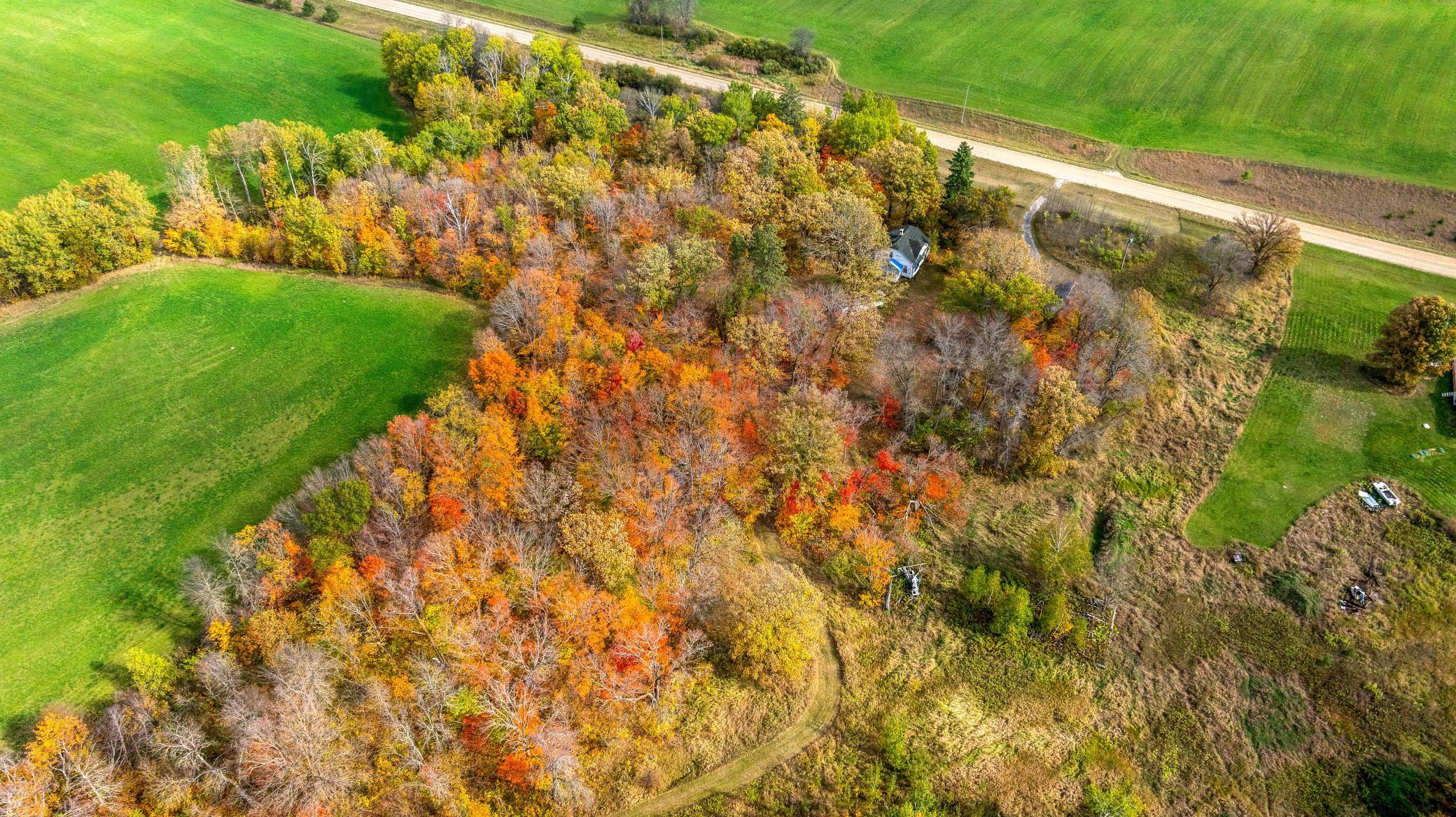 27099 Debs Road Northwest Shevlin, MN 56676 - Photo 19 of 27