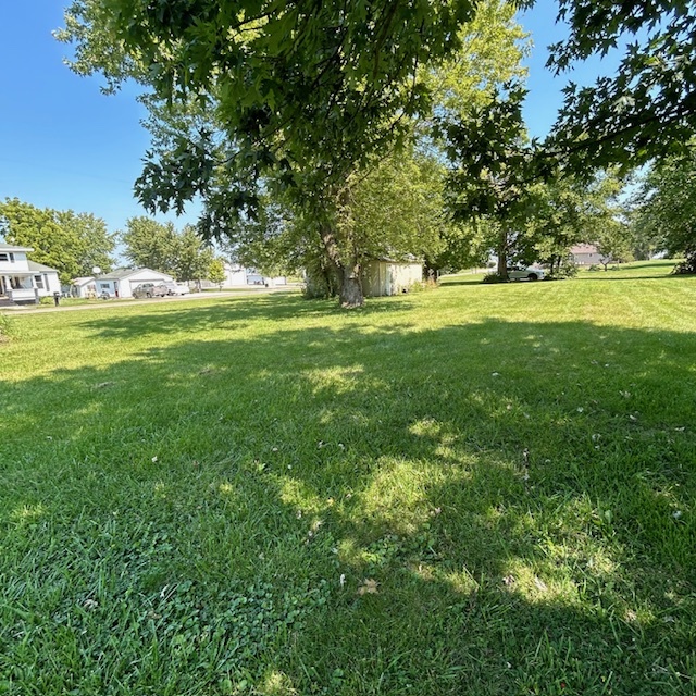 11629 Oak Street Downs, IL 61736 - Photo 3 of 6 a view of outdoor space with green space