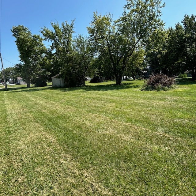 11629 Oak Street Downs, IL 61736 - Photo 4 of 6 a view of outdoor space with deck and trees