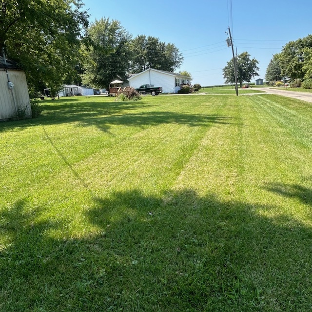 11629 Oak Street Downs, IL 61736 - Photo 5 of 6 a view of a house with a big yard