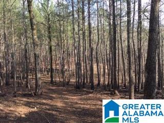 Pioneer Way, Unit 2 Sterrett, AL 35147 - Photo 15 of 24