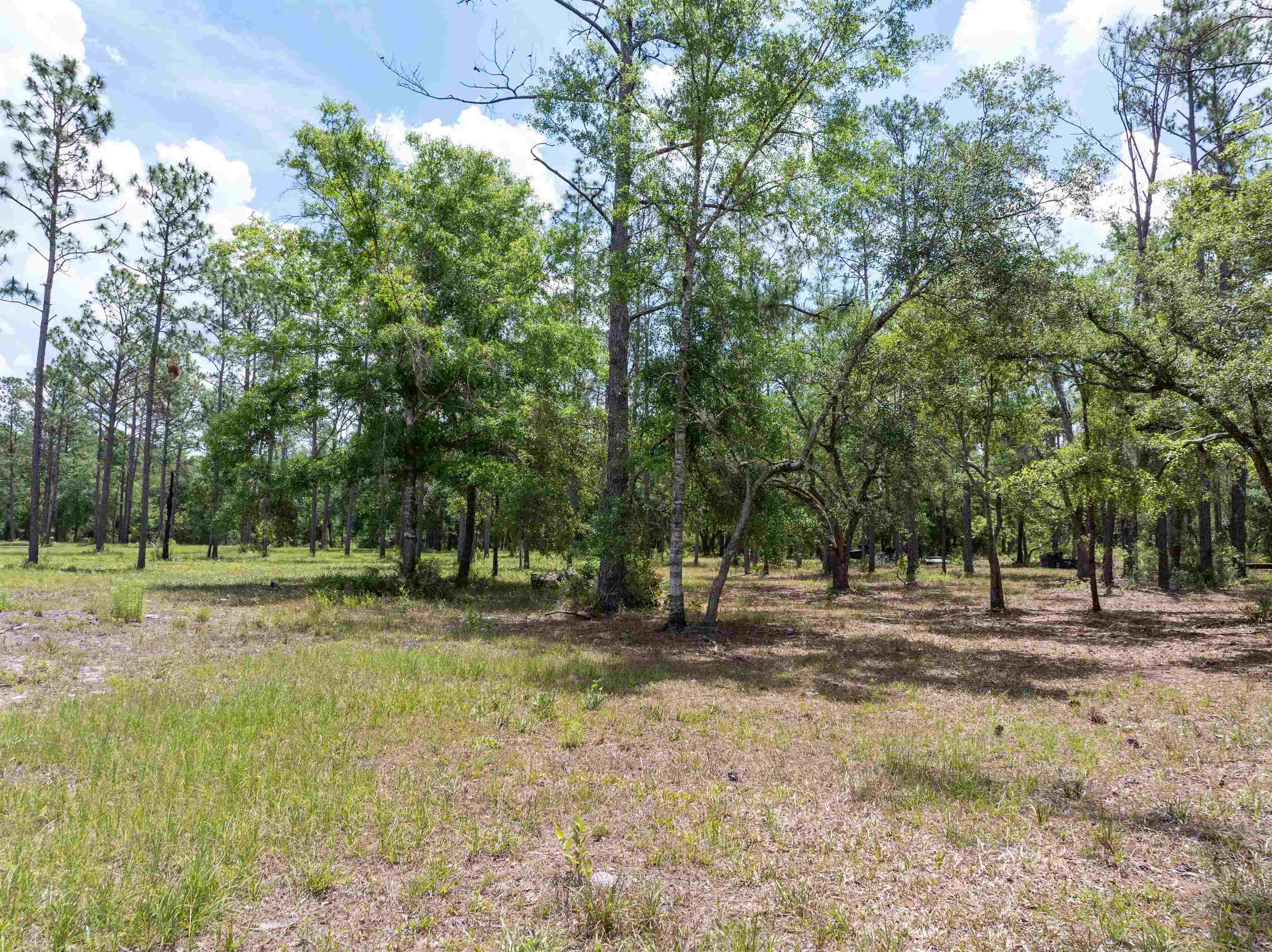 2878 West U.S 98 Perry, FL 32347 - Photo 55 of 64