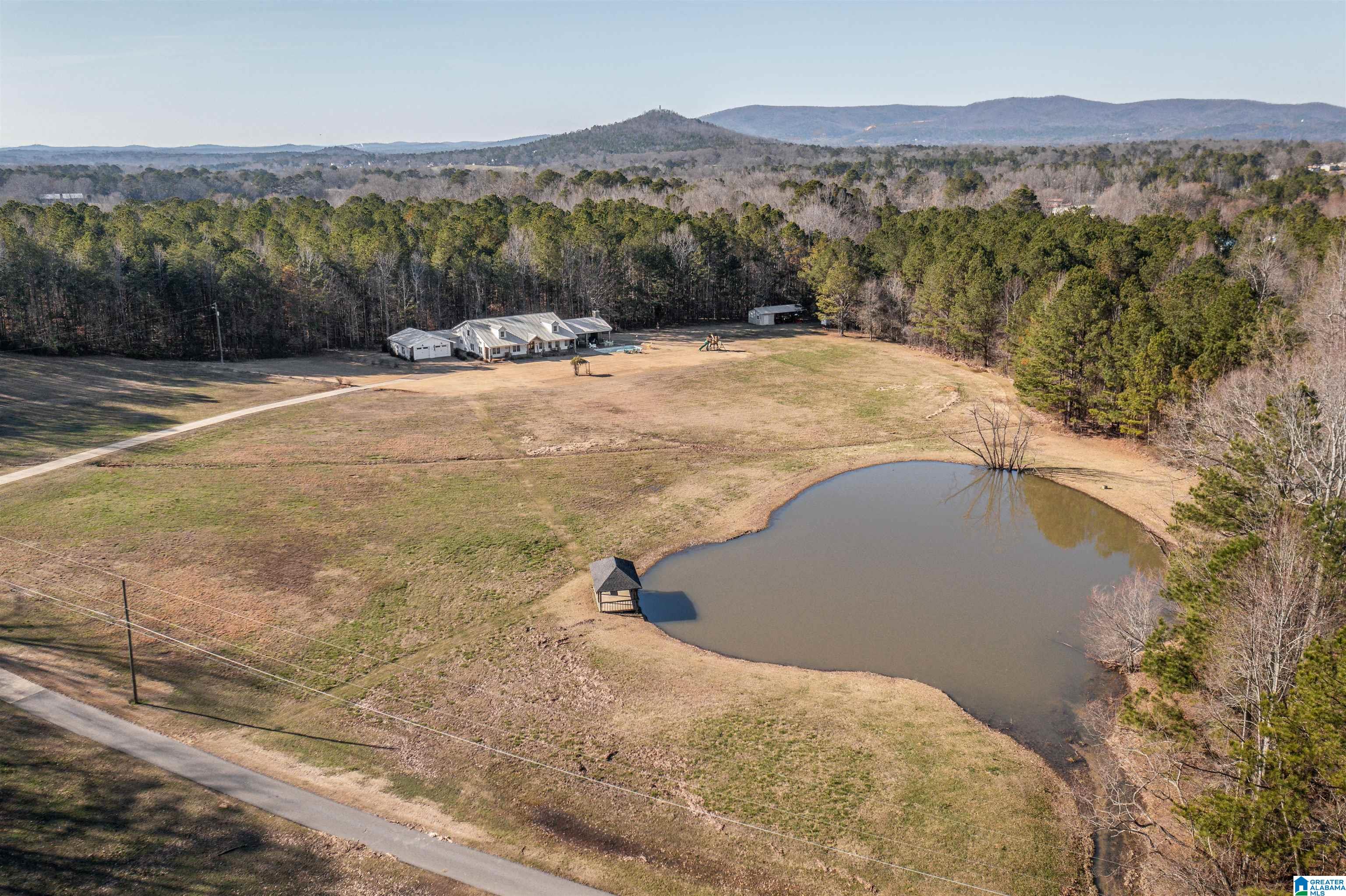 40 Deer Cove Road Oxford, AL 36203 - Photo 16 of 69
