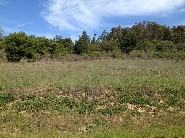 735 Lewis Road Watsonville, CA 95076 - Photo 1 of 1 Gallery Image 1