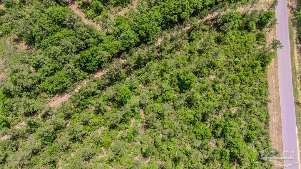34 A Sage Frst Lane Milton, FL 32571 - Photo 2 of 8 a view of a lush green forest with large trees