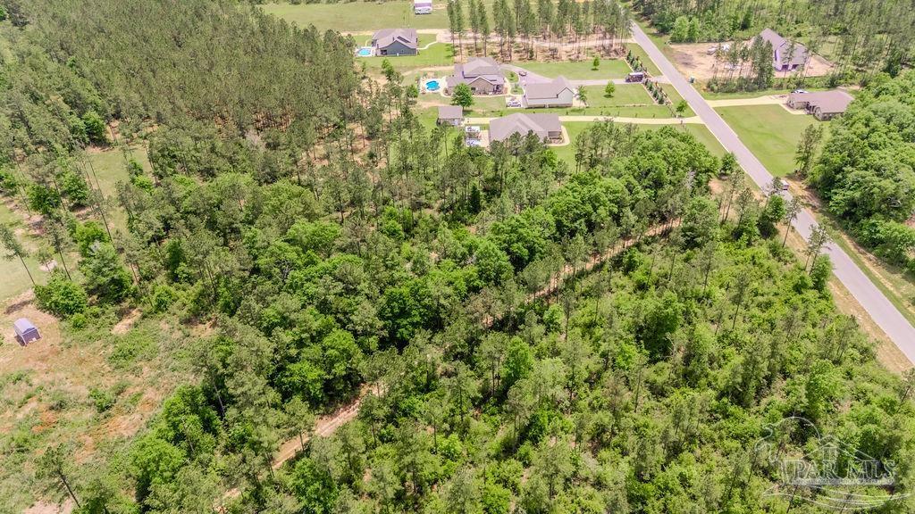 34 A Sage Frst Lane Milton, FL 32571 - Photo 6 of 8 a view of a large yard with plants and large trees