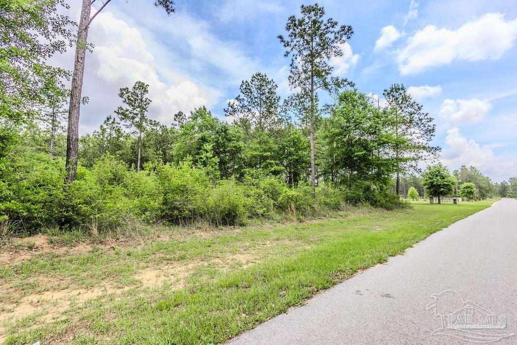 34 A Sage Frst Lane Milton, FL 32571 - Photo 8 of 8 a view of a garden with a tree