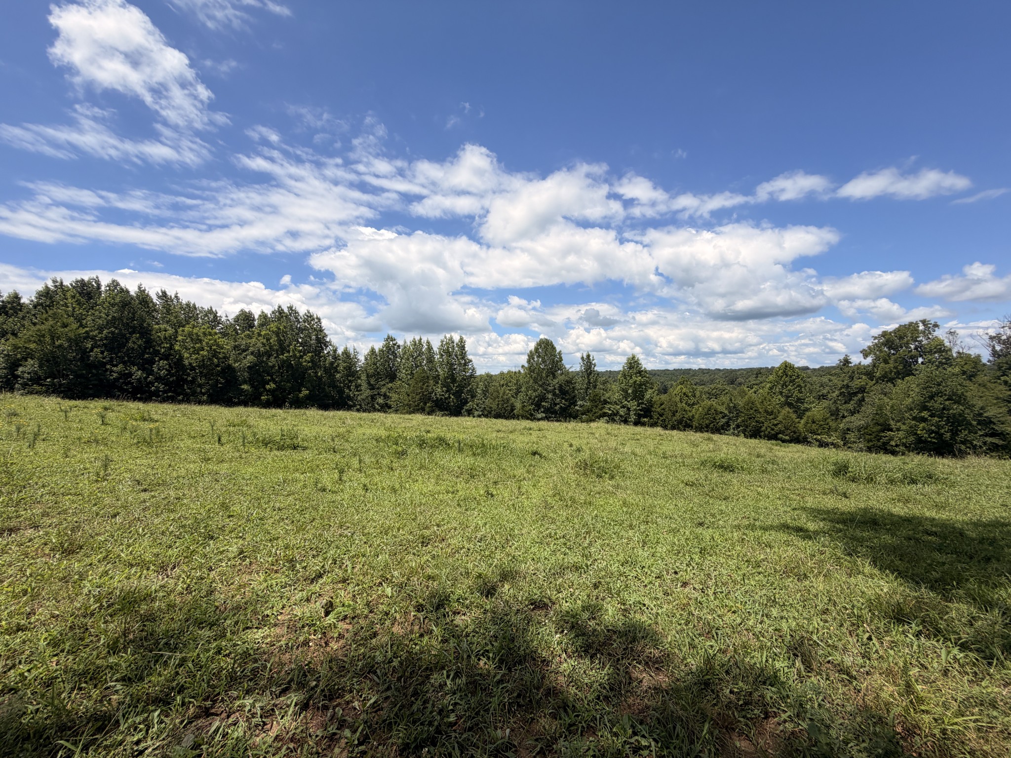 5141 Devers Road Southside, TN 37171 - Photo 33 of 33 Gallery Image 33