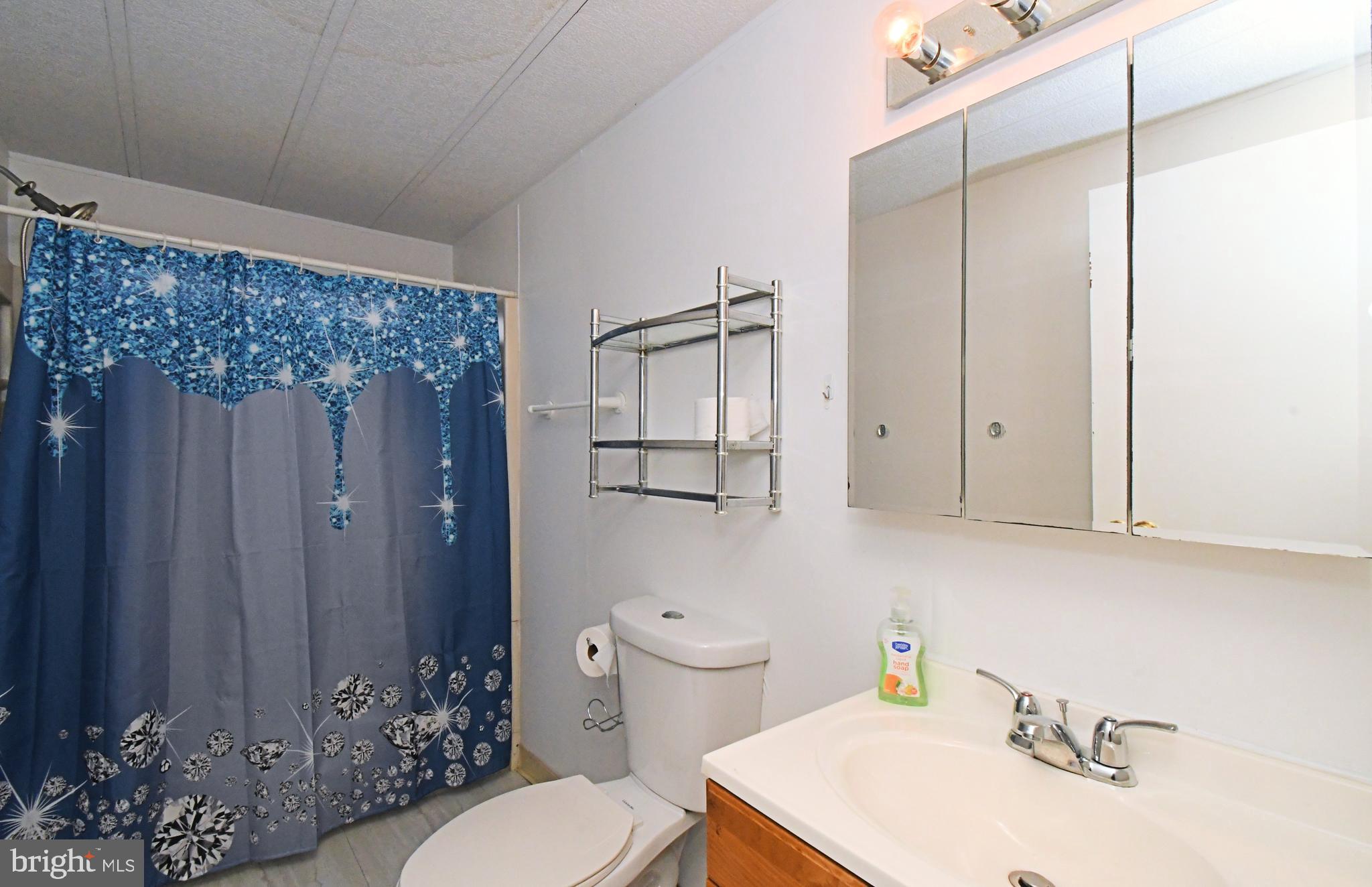 177 Bent Pine Hill North Wales, PA 19454 - Photo 8 of 14 a bathroom with a sink toilet and shower