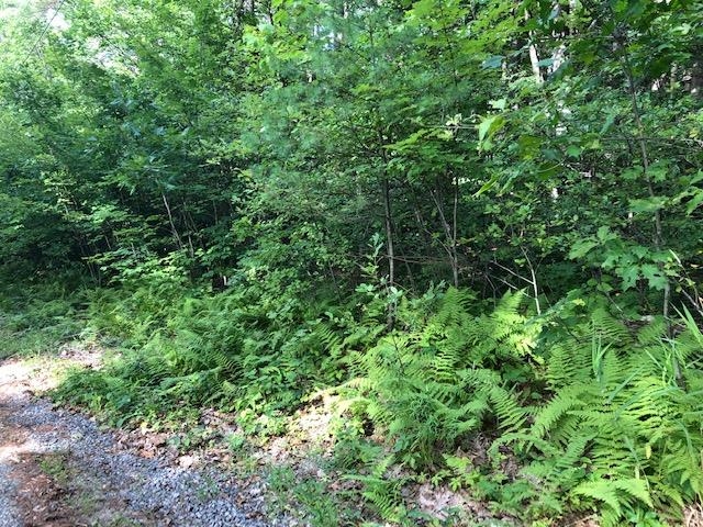 Slip Road Greenfield, NH 03047 - Photo 3 of 4