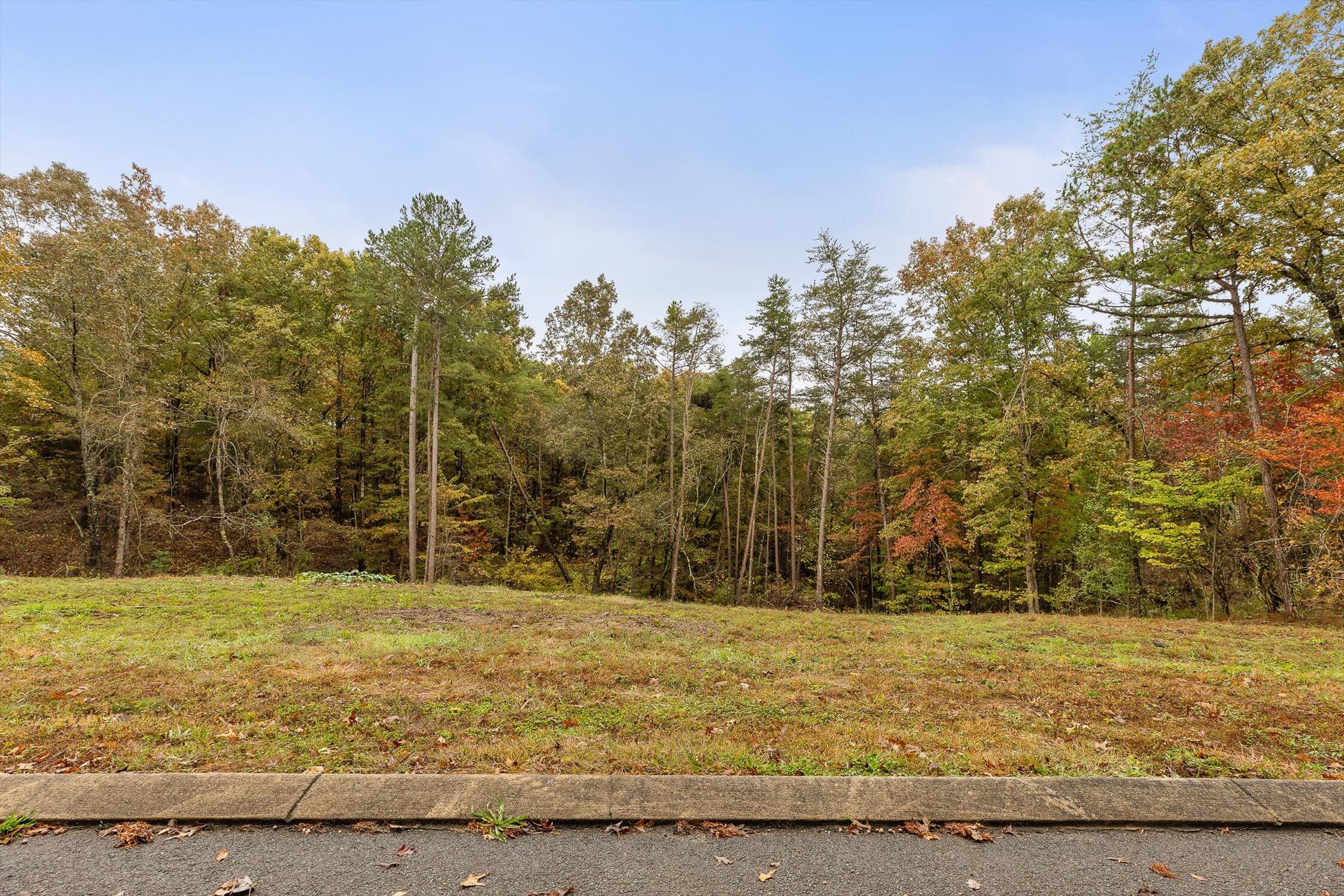 0 Countryside Drive Dunlap, TN 37327 - Photo 1 of 34 03-Countryside-3