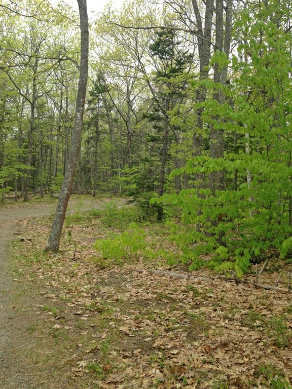 0 Orpine Road Dedham, ME 04429 - Photo 1 of 3 Photo