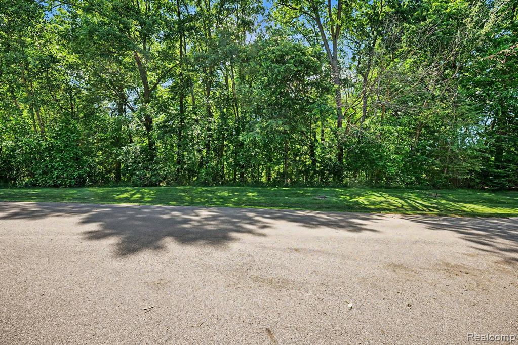 0 Deer Ridge Trail Holly, MI 48442 - Photo 4 of 14