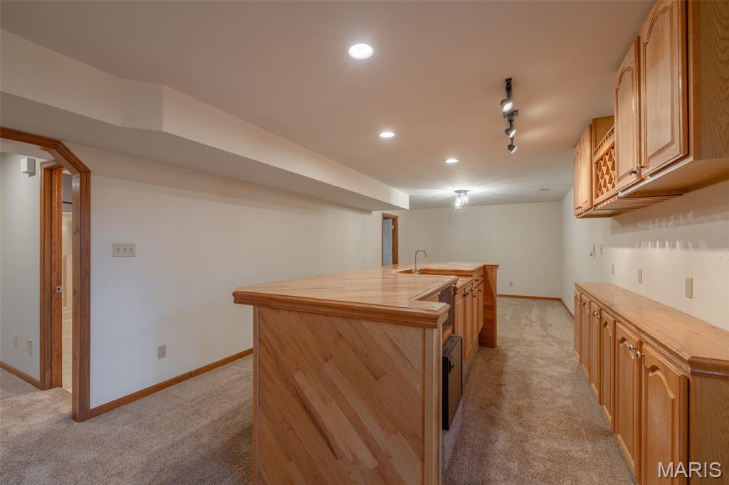 100 Silex Elevator Road Silex, MO 63377 - Photo 25 of 50